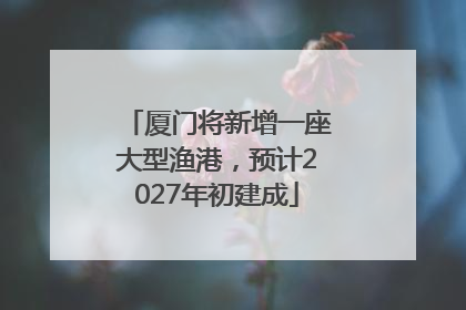 厦门将新增一座大型渔港，预计2027年初建成