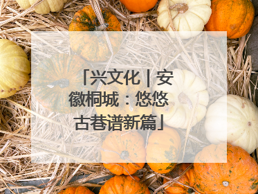 兴文化｜安徽桐城：悠悠古巷谱新篇