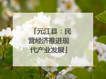 元江县：民营经济推进现代产业发展