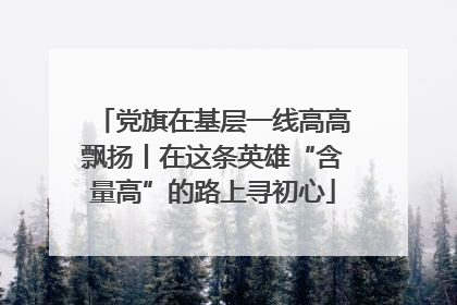 党旗在基层一线高高飘扬丨在这条英雄“含量高”的路上寻初心