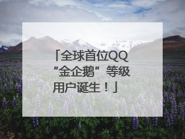 全球首位QQ“金企鹅”等级用户诞生！