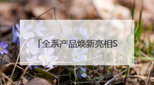 全系产品焕新亮相SNEC展 领跑“25%”价值新时代