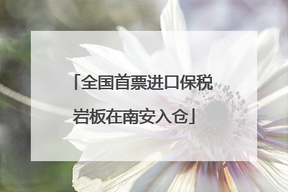 全国首票进口保税岩板在南安入仓
