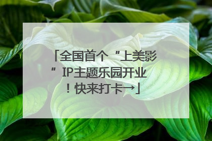 全国首个“上美影”IP主题乐园开业！快来打卡→