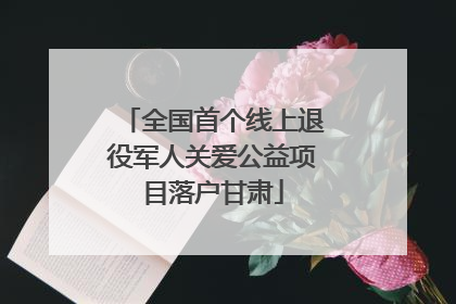 全国首个线上退役军人关爱公益项目落户甘肃
