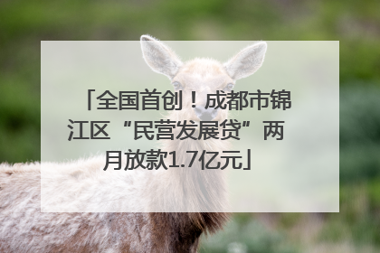 全国首创！成都市锦江区“民营发展贷”两月放款1.7亿元