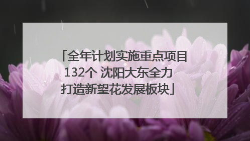 全年计划实施重点项目132个 沈阳大东全力打造新望花发展板块