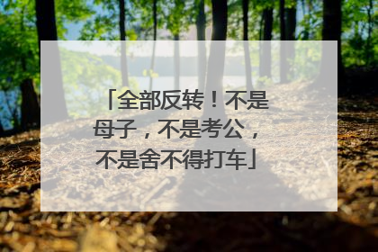 全部反转！不是母子，不是考公，不是舍不得打车