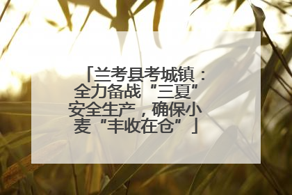 兰考县考城镇：全力备战“三夏”安全生产，确保小麦“丰收在仓”