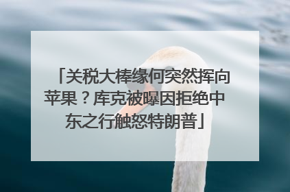关税大棒缘何突然挥向苹果？库克被曝因拒绝中东之行触怒特朗普