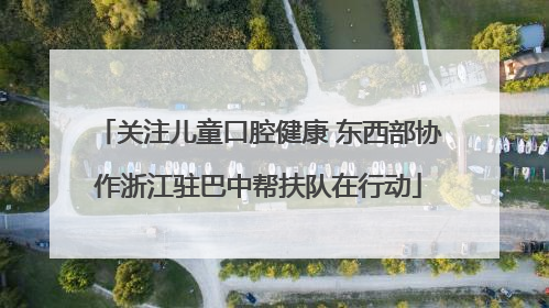 关注儿童口腔健康 东西部协作浙江驻巴中帮扶队在行动