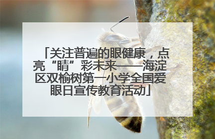 关注普遍的眼健康，点亮“睛”彩未来——海淀区双榆树第一小学全国爱眼日宣传教育活动