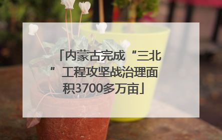 内蒙古完成“三北”工程攻坚战治理面积3700多万亩