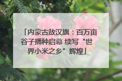 内蒙古敖汉旗：百万亩谷子播种启幕 续写“世界小米之乡”辉煌