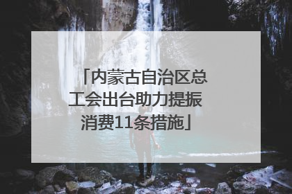 内蒙古自治区总工会出台助力提振消费11条措施