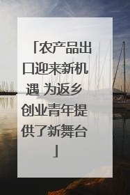 农产品出口迎来新机遇 为返乡创业青年提供了新舞台