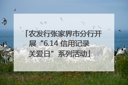 农发行张家界市分行开展“6.14 信用记录关爱日”系列活动