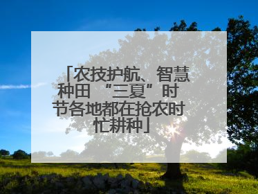农技护航、智慧种田 “三夏”时节各地都在抢农时 忙耕种