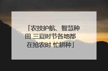 农技护航、智慧种田 三夏时节各地都在抢农时 忙耕种