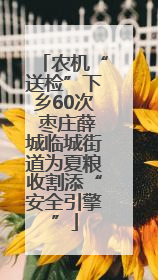 农机“送检”下乡60次 枣庄薛城临城街道为夏粮收割添“安全引擎”