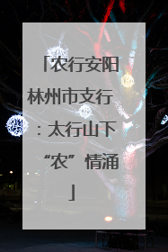 农行安阳林州市支行：太行山下“农”情涌