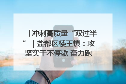 冲刺高质量“双过半”｜盐都区楼王镇：攻坚实干不停歇 奋力跑赢“上半场”