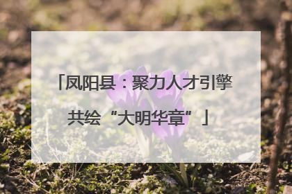 凤阳县：聚力人才引擎 共绘“大明华章”