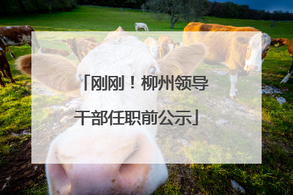 刚刚！柳州领导干部任职前公示