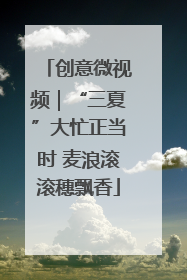 创意微视频｜“三夏”大忙正当时 麦浪滚滚穗飘香