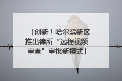 创新！哈尔滨新区推出律所“远程视频审查”审批新模式