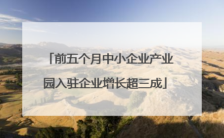 前五个月中小企业产业园入驻企业增长超三成