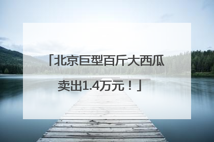 北京巨型百斤大西瓜卖出1.4万元！