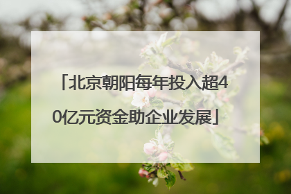 北京朝阳每年投入超40亿元资金助企业发展