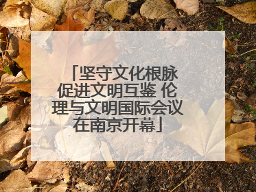 坚守文化根脉 促进文明互鉴 伦理与文明国际会议在南京开幕