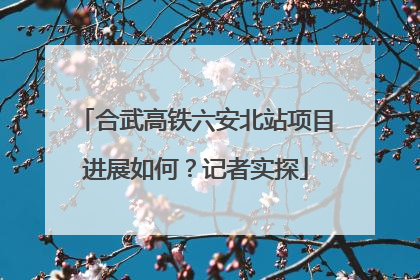 合武高铁六安北站项目进展如何？记者实探