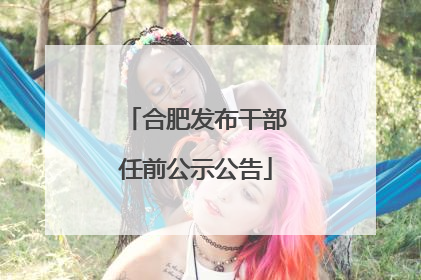 合肥发布干部任前公示公告
