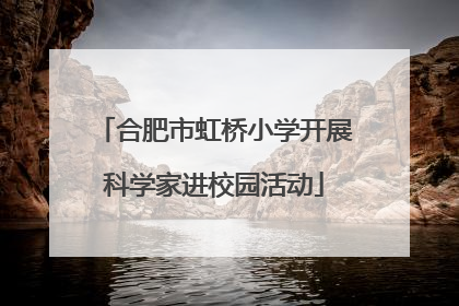 合肥市虹桥小学开展科学家进校园活动
