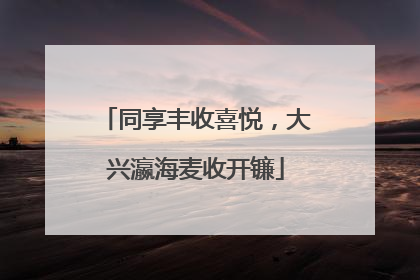同享丰收喜悦，大兴瀛海麦收开镰