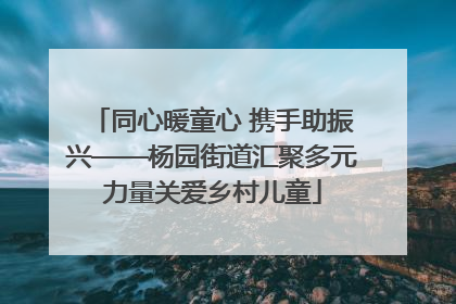 同心暖童心 携手助振兴——杨园街道汇聚多元力量关爱乡村儿童