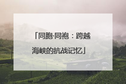 同胞·同袍：跨越海峡的抗战记忆