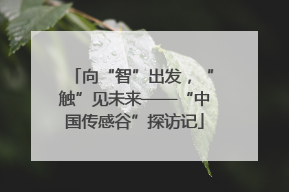 向“智”出发，“触”见未来——“中国传感谷”探访记