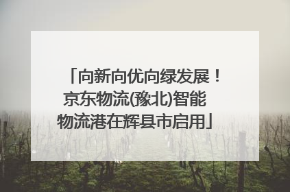 向新向优向绿发展！京东物流(豫北)智能物流港在辉县市启用