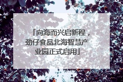 向海而兴启新程，劲仔食品北海智慧产业园正式启用
