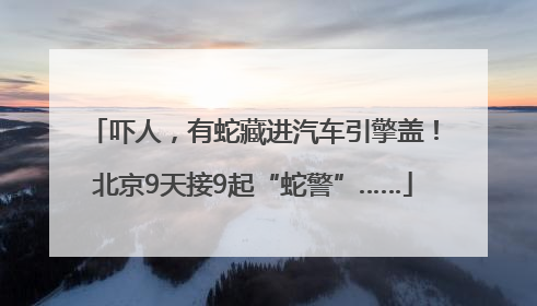 吓人，有蛇藏进汽车引擎盖！北京9天接9起“蛇警”……
