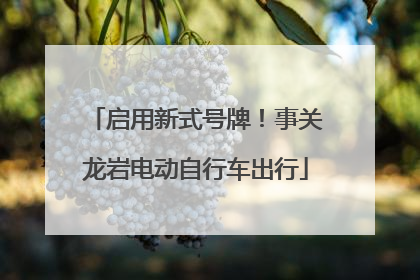 启用新式号牌！事关龙岩电动自行车出行