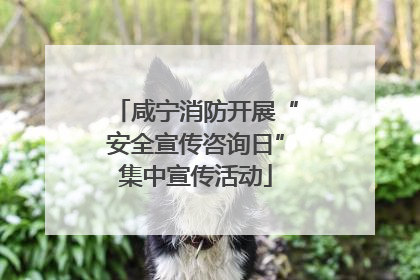 咸宁消防开展“安全宣传咨询日”集中宣传活动