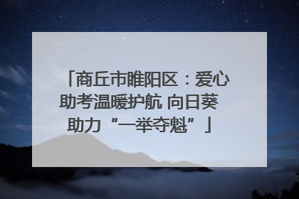 商丘市睢阳区：爱心助考温暖护航 向日葵助力“一举夺魁”