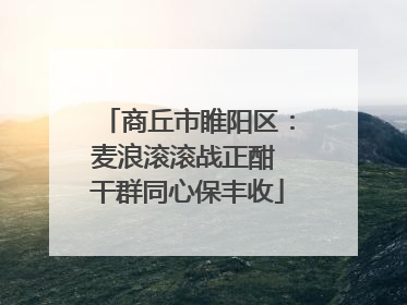 商丘市睢阳区：麦浪滚滚战正酣 干群同心保丰收