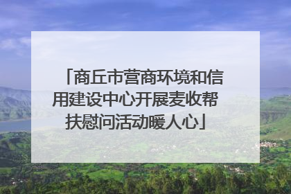 商丘市营商环境和信用建设中心开展麦收帮扶慰问活动暖人心