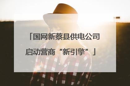国网新蔡县供电公司启动营商“新引擎”